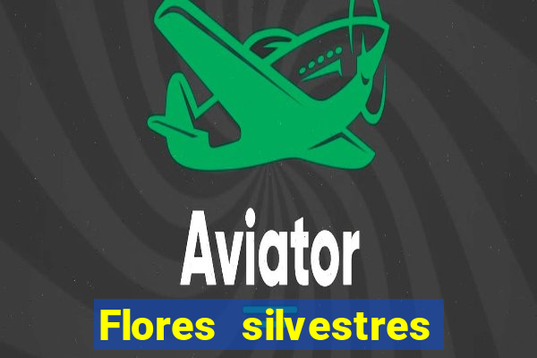 Flores silvestres brasileiras 25